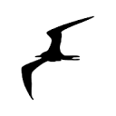 Favicon of Frigate